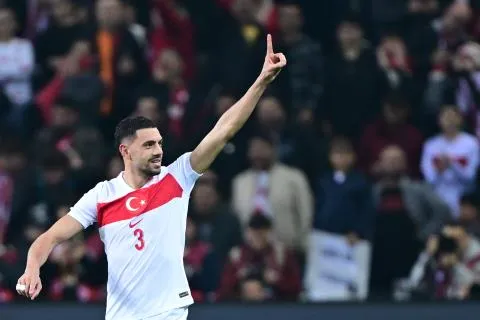 Bir Bozkurt yeter!