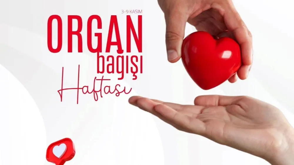 Organ bağışı hakkında bilmek istedikleriniz 
