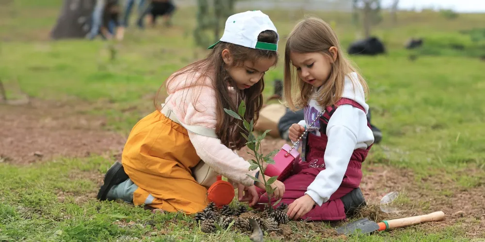 Milli Eğitim Bakanlığı