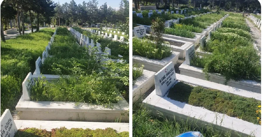 Ankara Büyükşehir Belediyesi