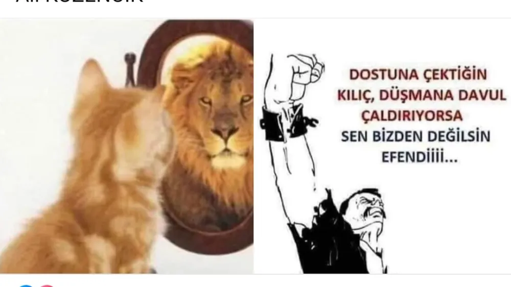 Ali KUZENCİK yazdı: Başını kuma sokanlar!