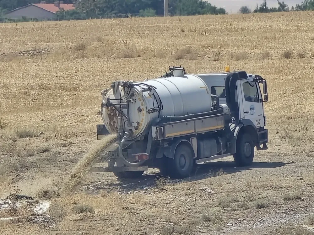 CHP
